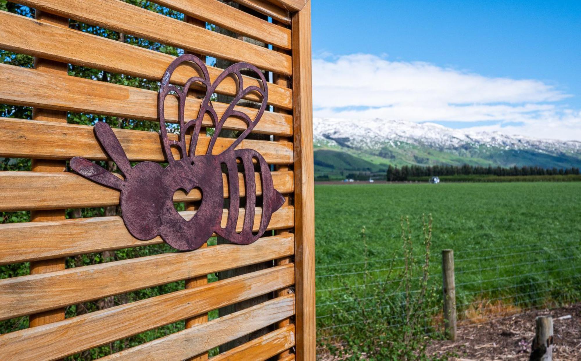 Honey Cottage In Ettrick Millers Flat Екстер'єр фото